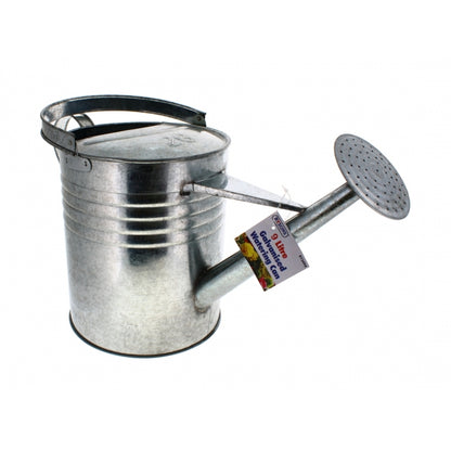 9L Galvanised Watering Can (Ry-3494)