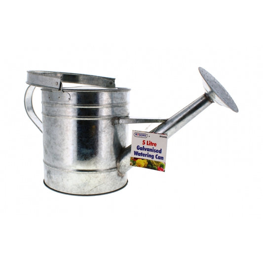 5L GALVANISED WATERING CAN (RY-3490)